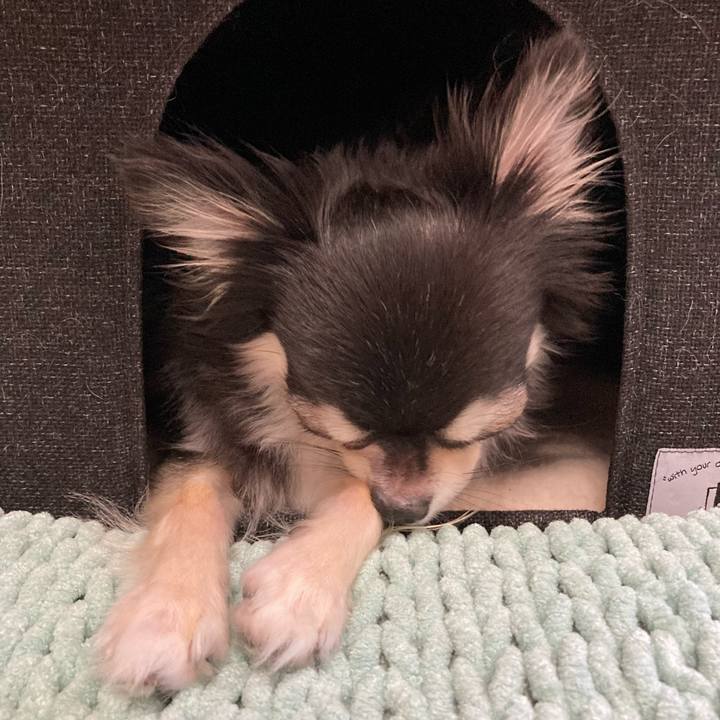 056b1508 db74 4dcb a0c7 ed16b443782f 1660225909236