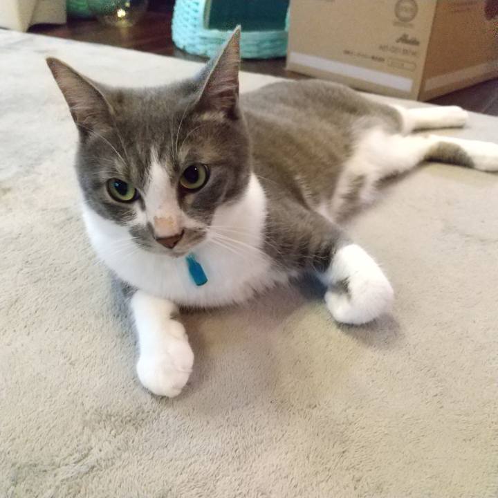 056b35be 25f0 4057 ae9d 48152bb0a451 1621374635010