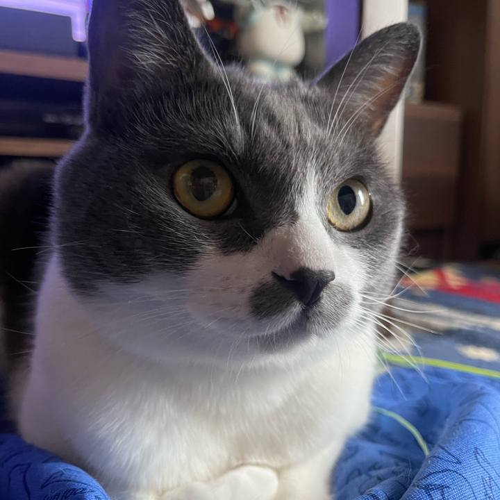 056b5e32 801a 4ec9 9aa7 fa71582f5f99 1690267073309