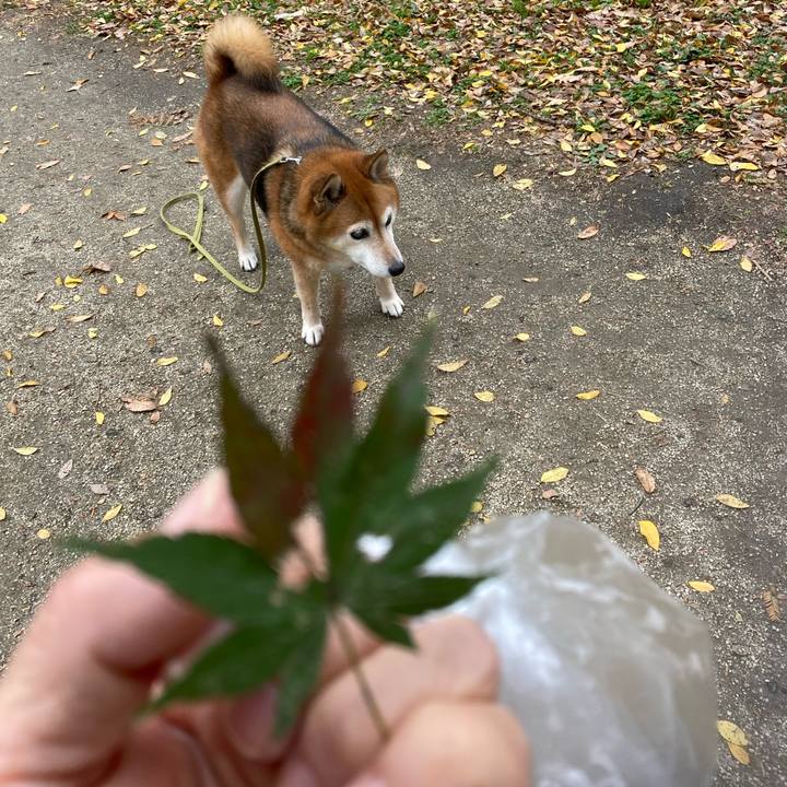 056b6375 7d11 409f b845 17533ce3ca75 1669789355256