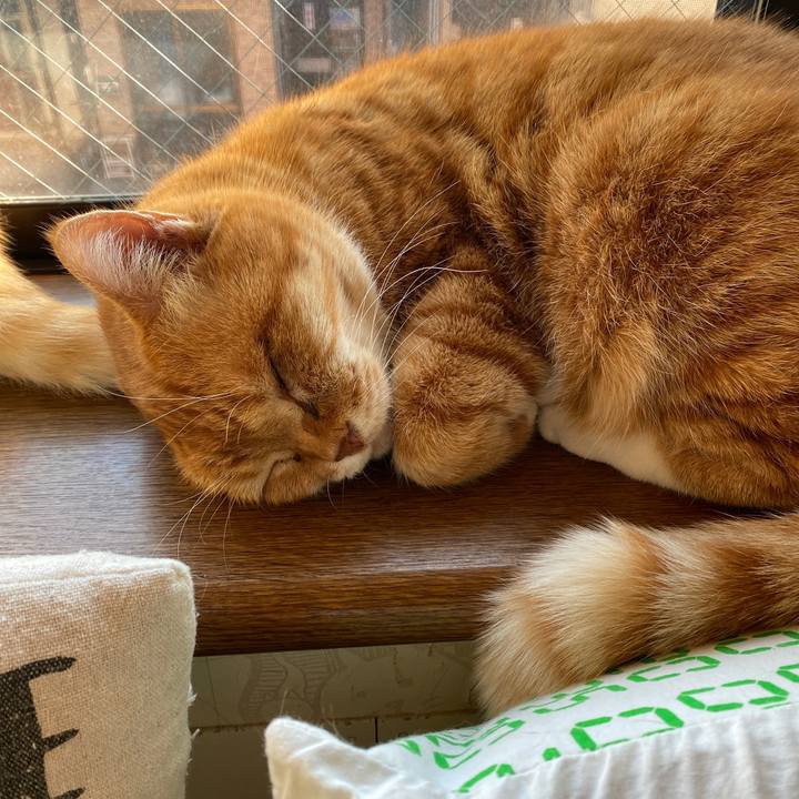 056b6eb7 f5a9 4487 a113 983cd04fab5b 1609650172174