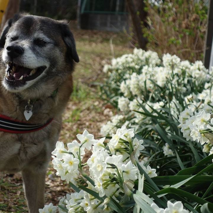 056b8b8b b750 4b38 ba01 fe40574a7d87 1521336643494