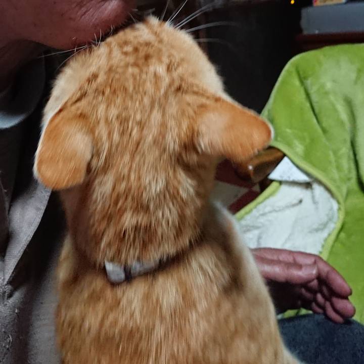 056ba011 d4e9 4f68 8fef a73bde7f4a41 1587505012444