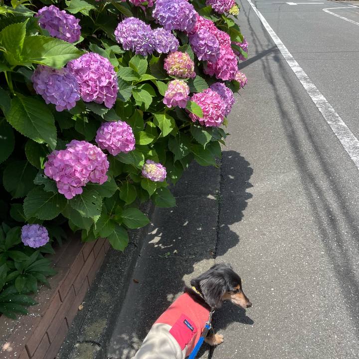 056ba545 b5e4 4bda 9e9c d478a674d3a4 1699922783787