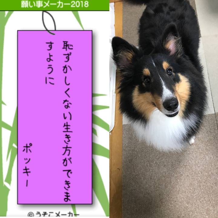 056ba5b3 a1fa 4bae 8129 5df4cffc9a2c 1530964570155