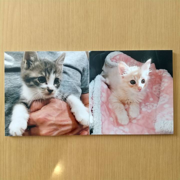 056bc310 fda5 485f 8301 7467d7906458 1613874822321