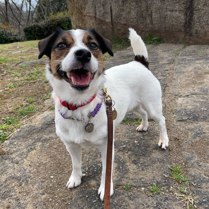 056bf331 210b 4447 8ff4 2a5cef61b656 1582955999951