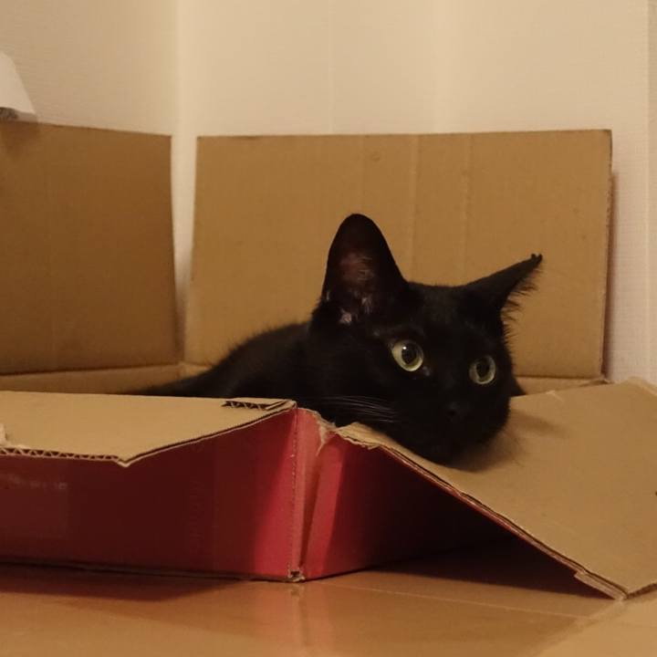 056c5657 6c38 49c7 9ffb 3ec7aceecfcb 1520520052445