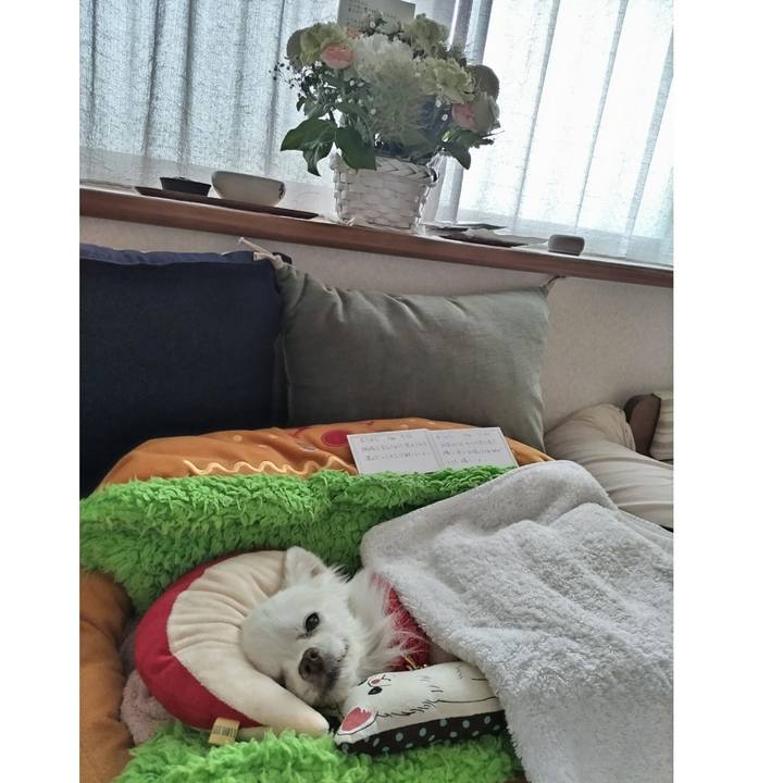 056c5dcb 9a91 48aa b1c9 b0384ce5510e 1688094361990