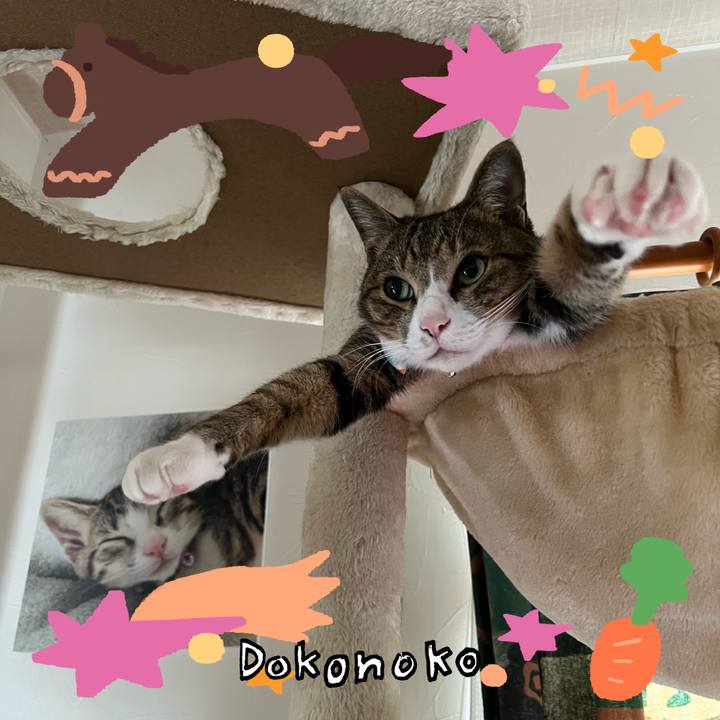 056c6b9c e08a 4b72 b0fe bc694b583803 1772408009535