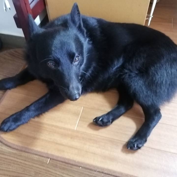 056cc165 16fd 4de8 b3ea 3a973f68ce04 1652998412692