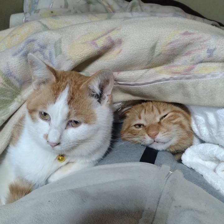 056ce827 e069 4847 a6b0 a0fc06cf6de7 1741248661737