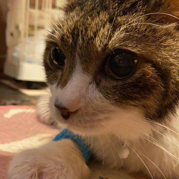 056d2740 8cfa 4a3f b065 520053ec55a2 1639610977051