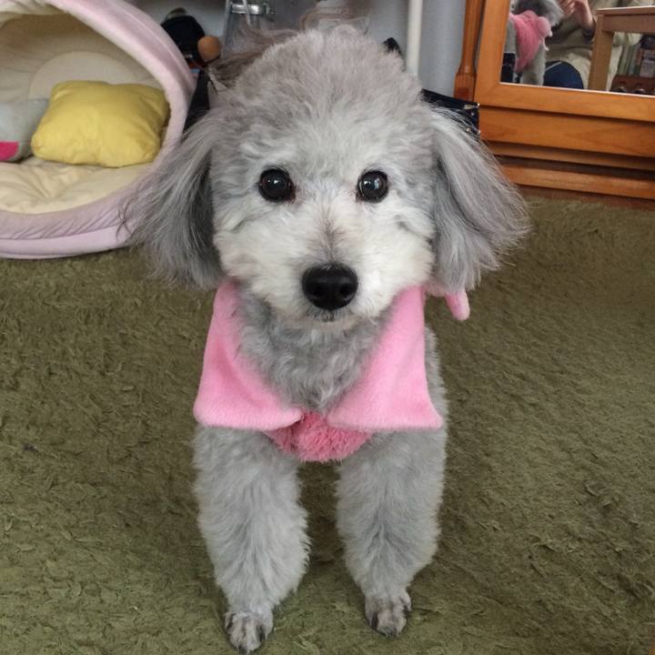 056d834c 2c4c 4203 a65a fc20f40602ed 1737459446566