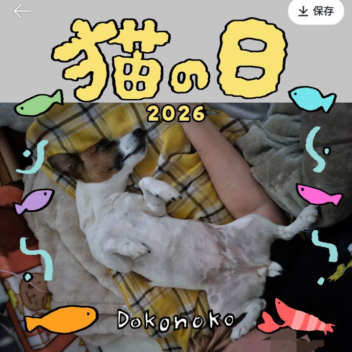 056d8526 19af 4c16 bbff a4a8fe2163ed 1771760448294