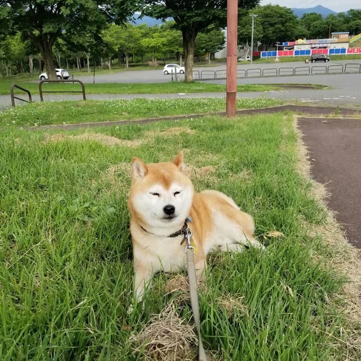 056d91c1 477c 4ed7 a6c4 ea283341be78 1622964650676