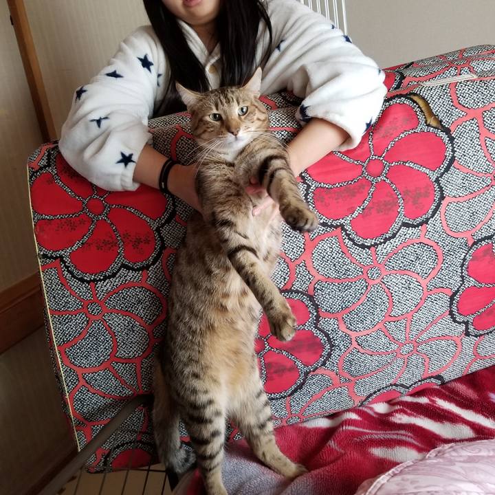 056db806 5545 4fd2 897b d31f4ffb682b 1641472104751