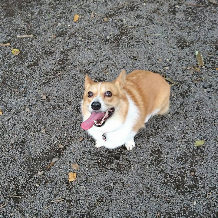 056dc725 69ec 4dc9 9c8e d67564737bb8 1509154628323