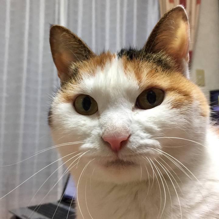 056dfb2e 229a 4515 a732 ee83e204dca5 1514793399010