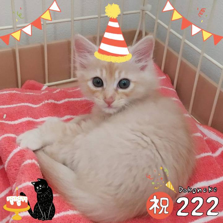 056e0088 9b24 4548 ad43 e73c69fba0fb 1645502908408