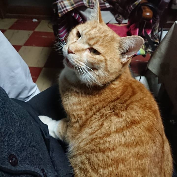 056e1a3b 18c7 442c 9673 2c9651b11008 1581069232039