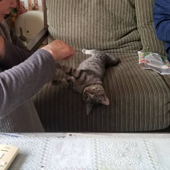 056e1bb6 30d8 4a37 9bcd ed8aaa80e006 1668349908029