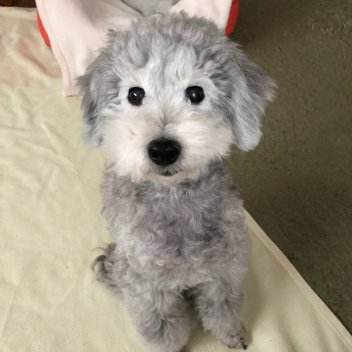 056e22c6 0404 4c09 856d 14c1d3d67568 1525820889392