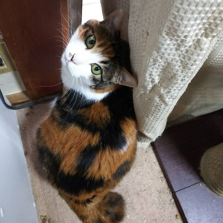 056e5092 d5c0 4134 a0f5 a712b816c368 1529444798989