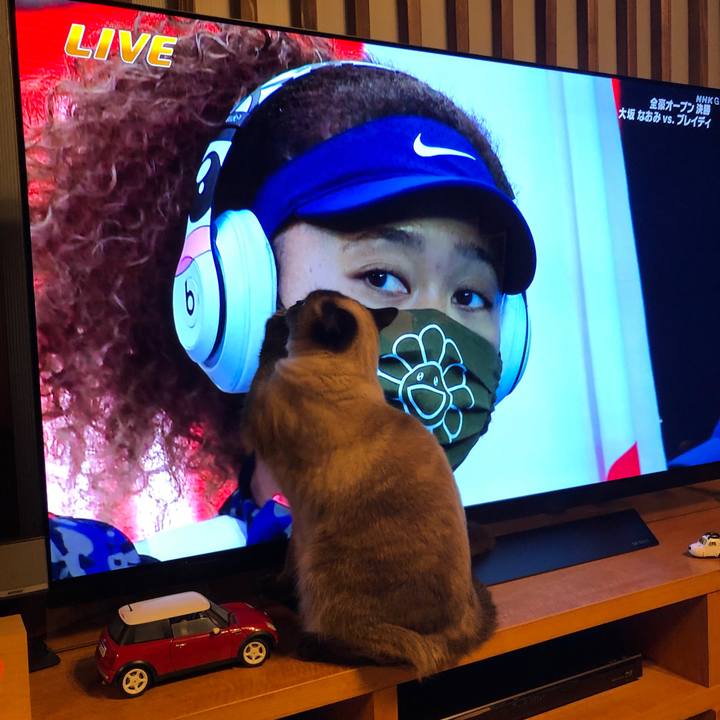 056e63e8 90ac 4669 a9e2 8a88f41b5718 1613810435432