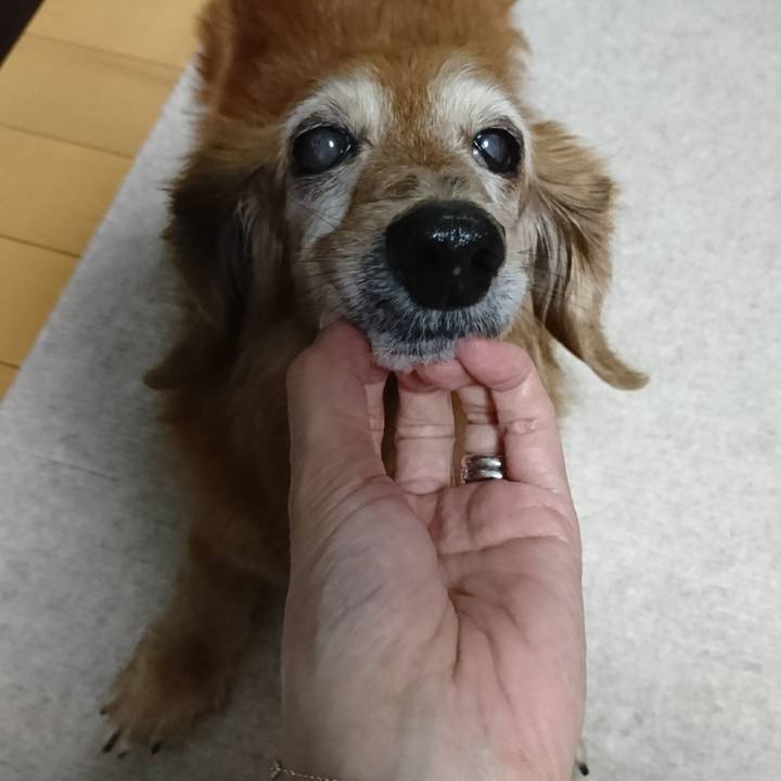 056e6479 da78 46c4 8eab bbba5ff45e7d 1509270917697