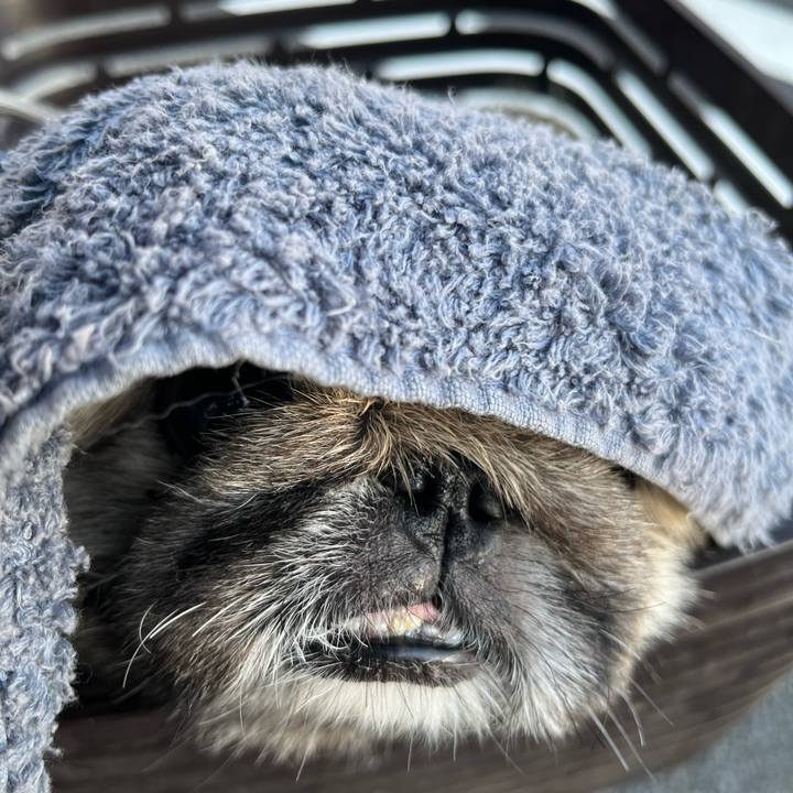 056e748b 1080 4ae1 a354 40d9cd4b775f 1758665295167