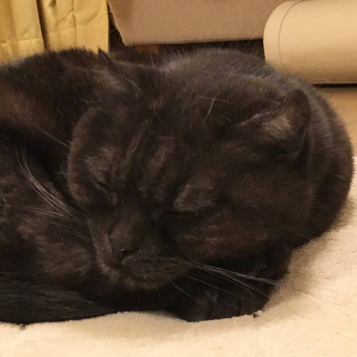 056e9b92 5196 491c 9dc5 fc607a1f73a0 1518621002721