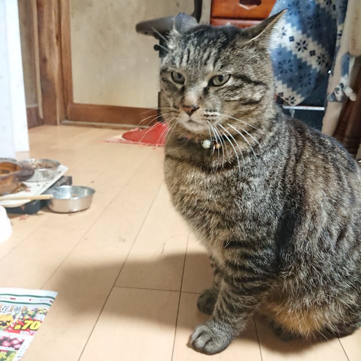 056ebccc 9e51 490b b5df 160a35169eb2 1647512303900