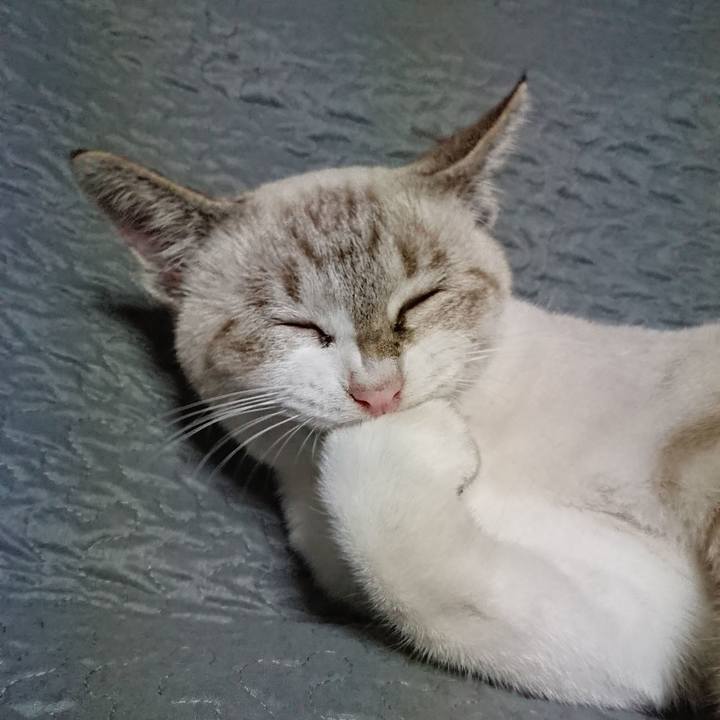 056ef3b5 89d5 4f1a 96e5 48132341107b 1538231849162