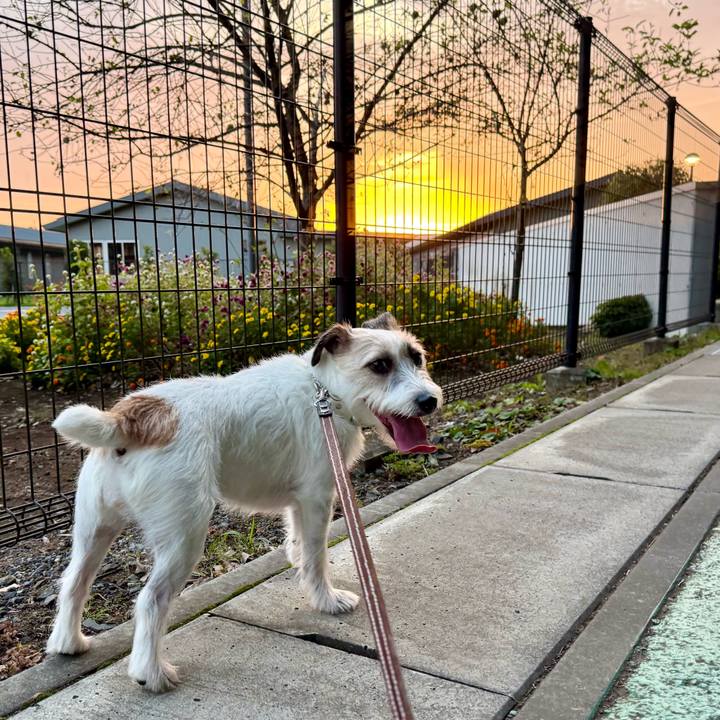 056ef8d1 0b25 47d5 badf 1df284f5658d 1760792744988