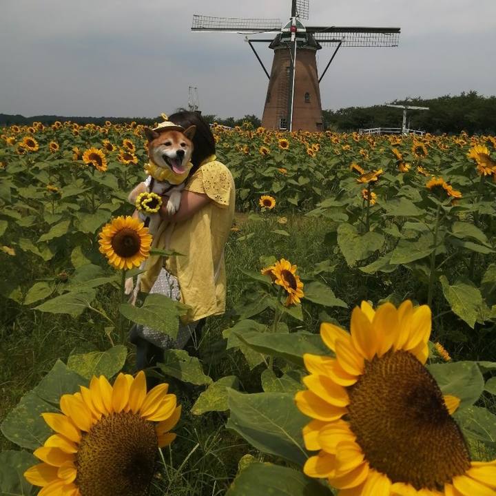 056efc15 352b 41f4 a5c6 9601721594c7 1720603163190