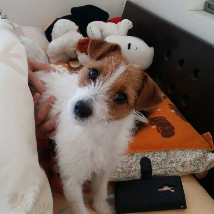 056f176b 8dd1 4113 b028 953f488d3fab 1514935237993