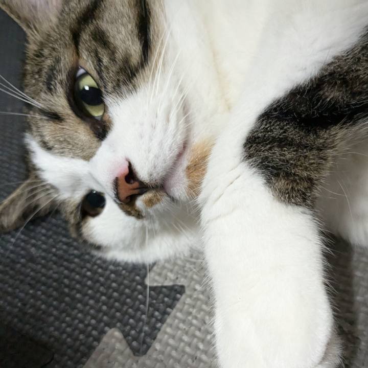 056f2bfc fc5a 4c23 8af1 cb86e519f3d7 1721993802624