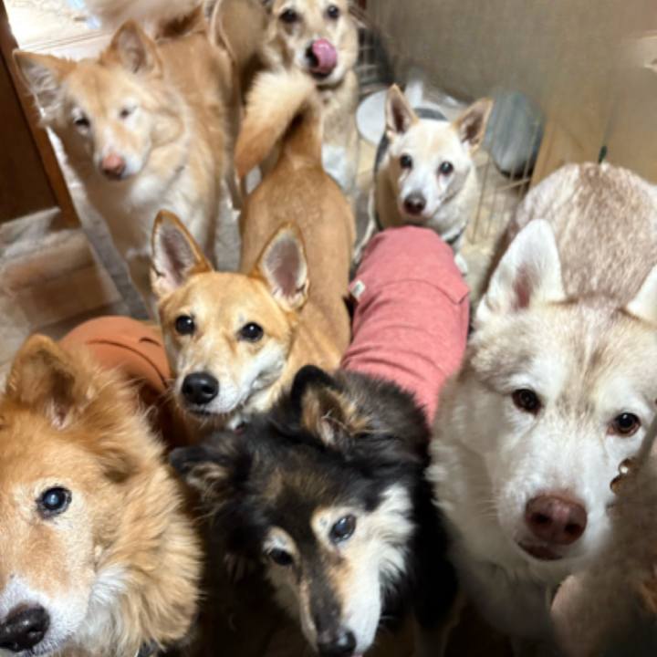 056f344d 50b9 4e6b 93b1 c5a3e4c88191 1735571848894