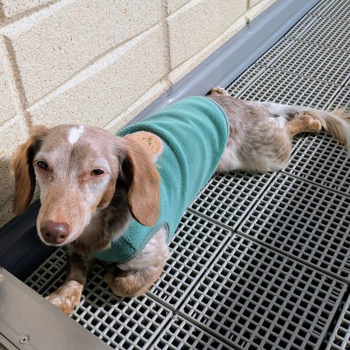 056f4ea0 db03 4401 802c 8ec5366ce1f3 1767151327846