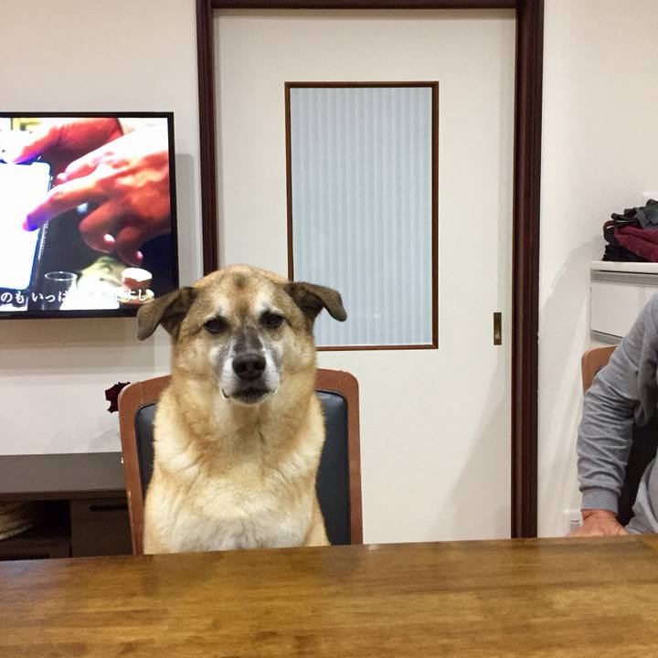 056f84df 1d44 4914 95e1 eccbffafb0a8 1571488979376