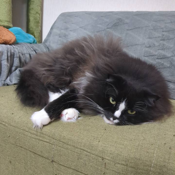 056fa2a0 b88b 49f5 a324 a70afc8571e3 1730416288589