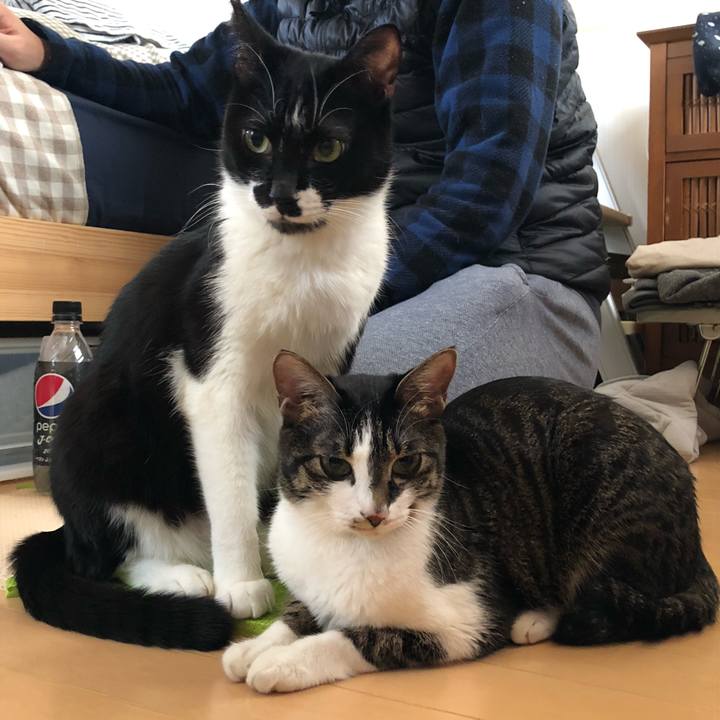 0570988d c070 47d0 bc6c aac4f81a6e68 1547374282031