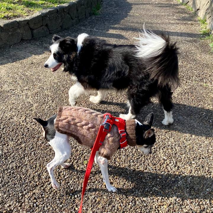 0570a2b2 12e9 4d3c 8950 9249e23ff10f 1615689644558