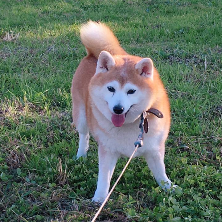 0570a68b 75e8 4ad4 9333 ea3a38c528da 1577768465932