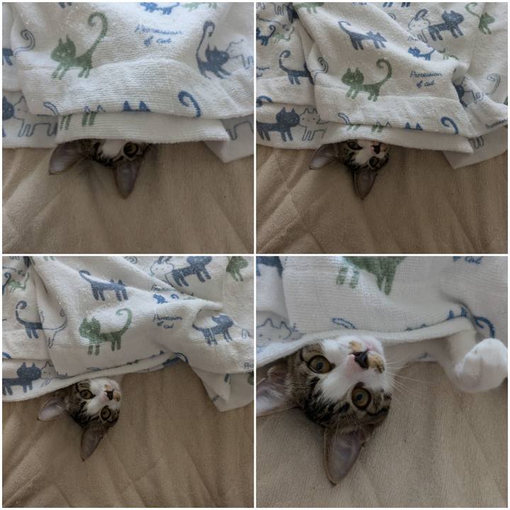 0570bef3 8361 498c af8d 39316e84f269 1726210117769