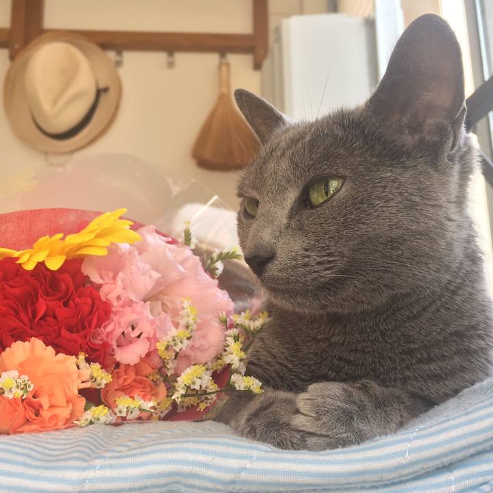 0570d2ad 5561 45f6 a359 e6a668cd4300 1557647213373