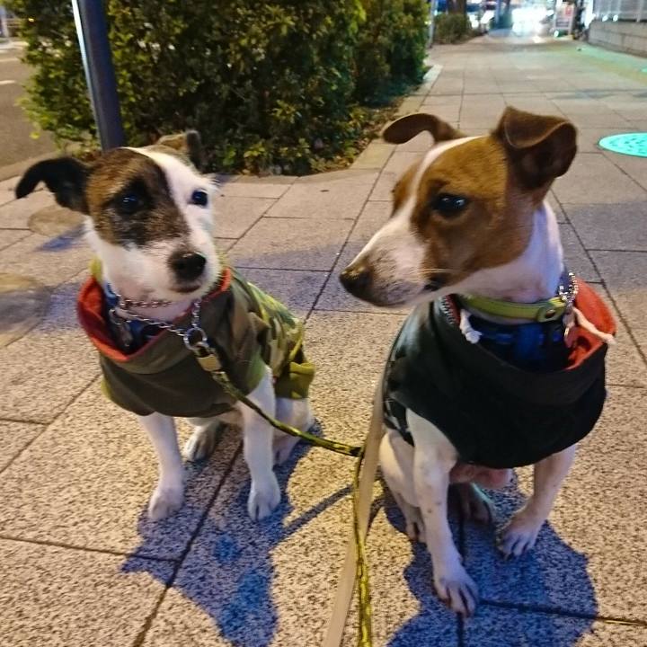 0570e348 4d1c 4cf6 a0df 03ecca66a268 1548365363944