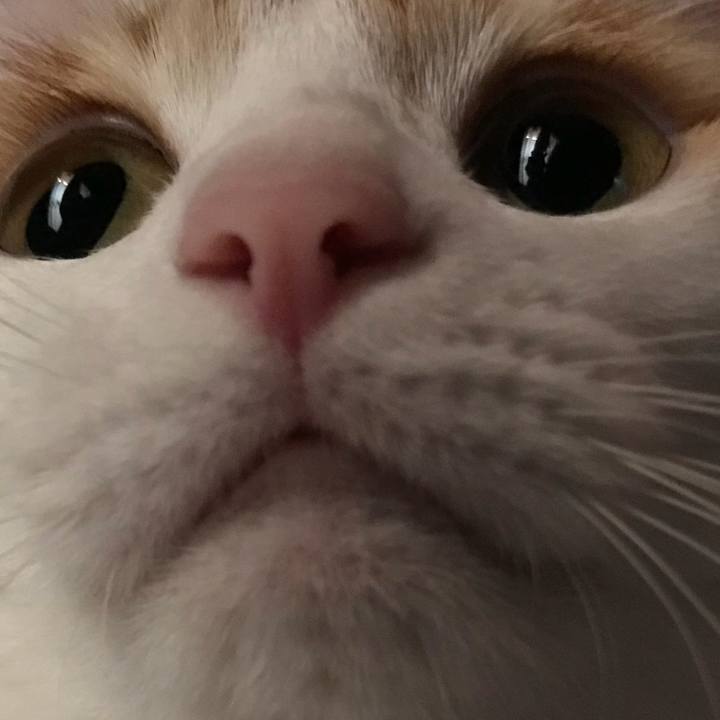 05710664 3986 412e baf0 50e3962431f5 1532264217789