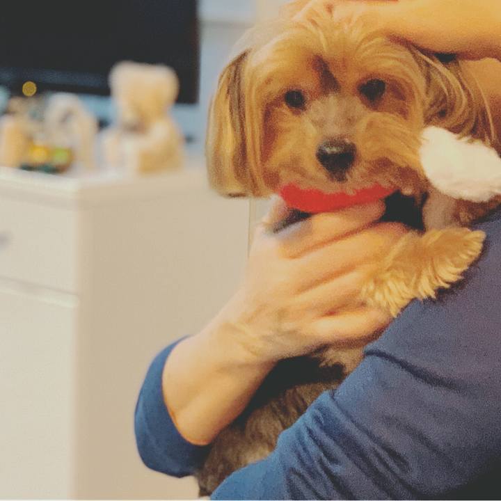 057114c5 7ddc 4c99 9806 c278993aa74d 1577002976540